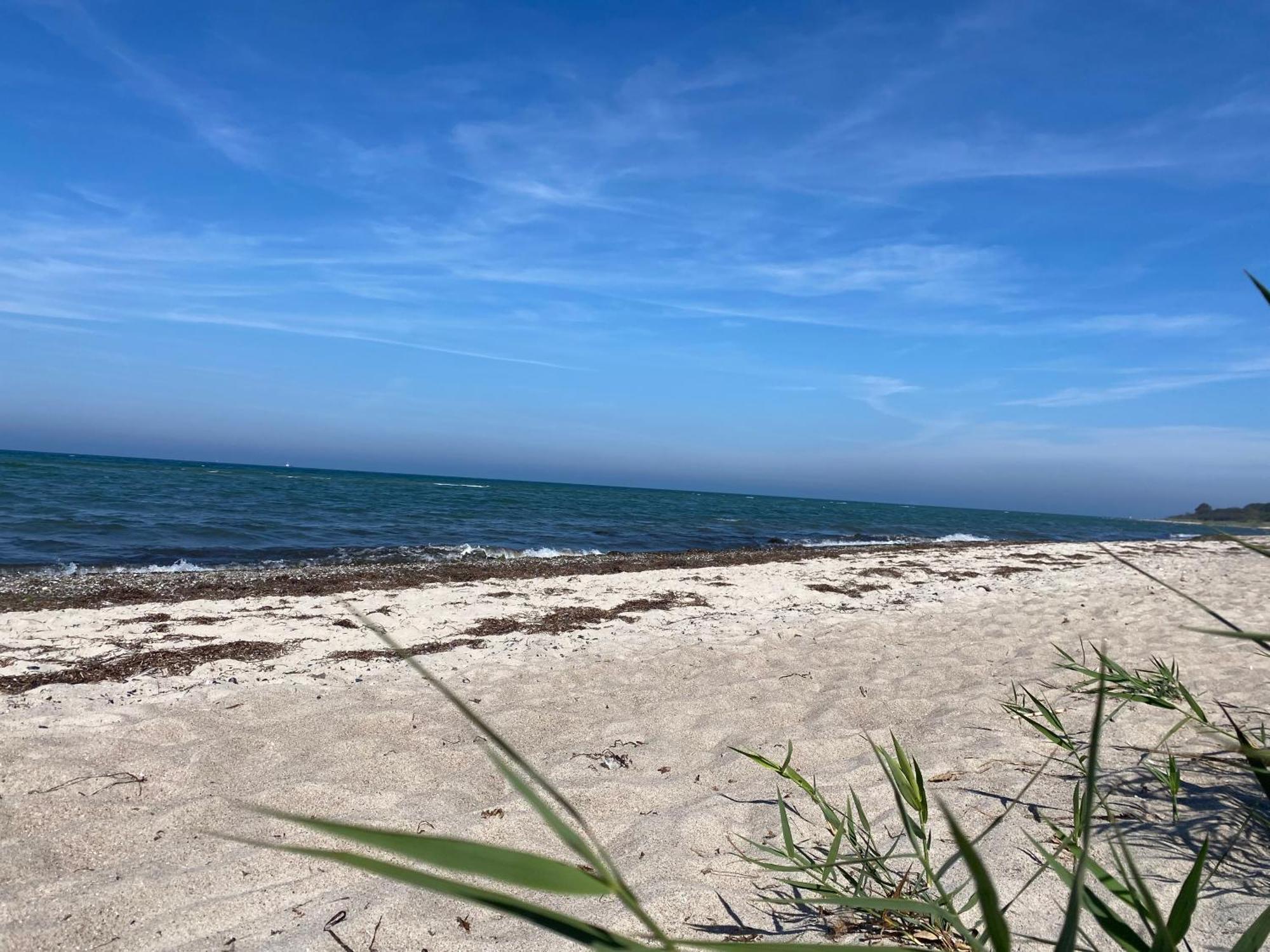Sealounge Villa Dassow Exteriör bild